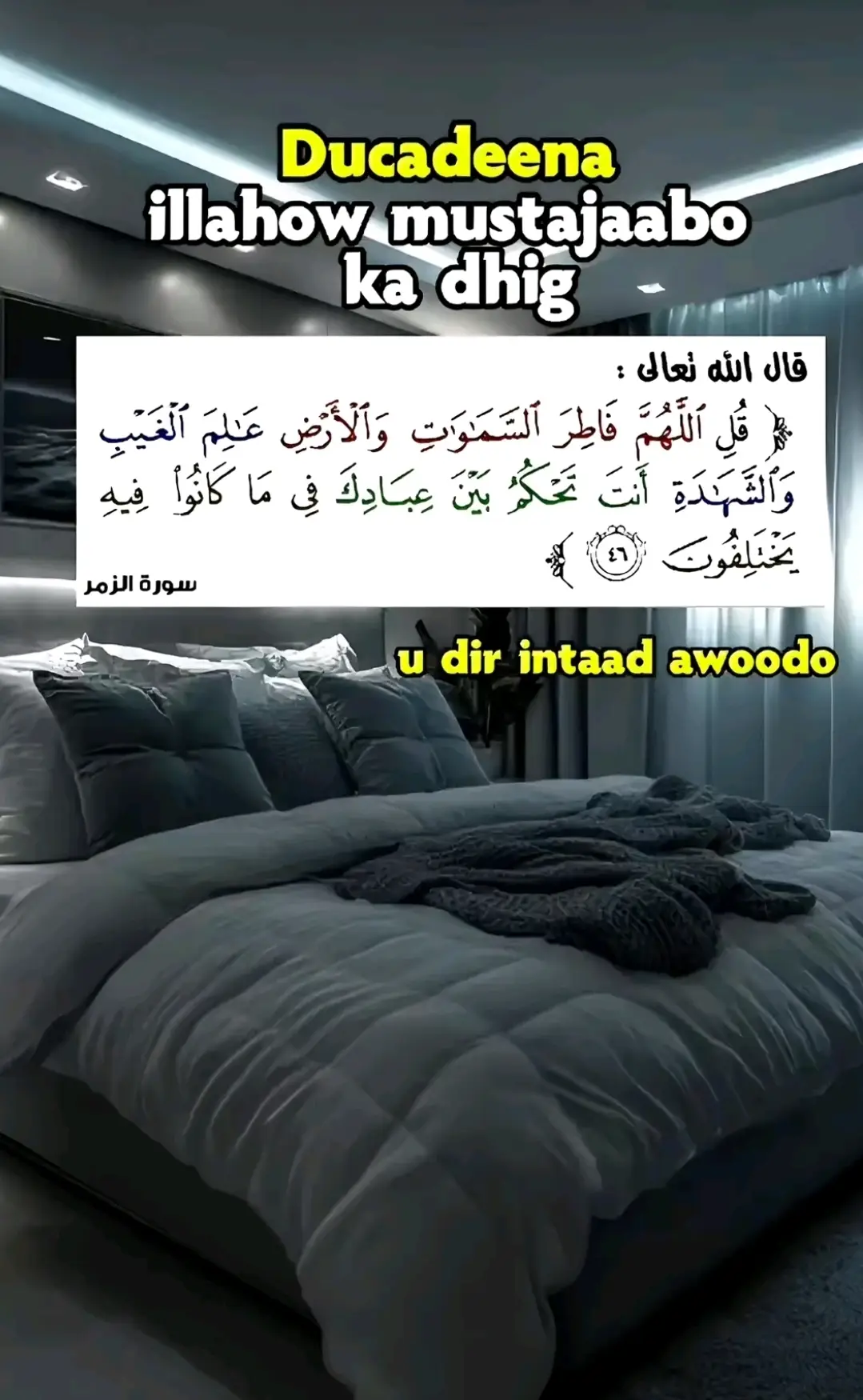 #siifaafi_kheyrka #walal #kusali_rusul_kena_muxamed_scw♥️🕋🥰☪️🕌♥️ #scwscwscw💓💓💓🕋🕋🕋🌹🌹🌹🌹🌹🌹🌹🌹🌹🌹🌹 