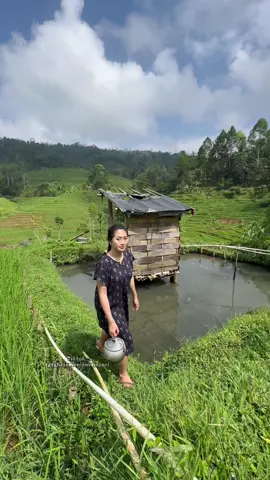 Nembe beres ngaliwet di sawah #tetehrismanirmalasari #gadisdesa #suasanapedesaan #suasanakampung #berandatiktok 