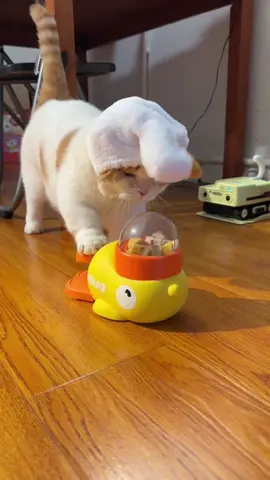 🦆🐾 **Snack time just got *quack-tastic*!** 🎉 Turn mealtime into playtime with the **DUCEK Little Yellow Duck Feeder Toy**—your cat’s new favorite puzzle pal! 🧩✨ Spin the duck, release the treats, and watch your clever kitty *hunt* for their kibble like the tiny predator they are. 🕵️♀️🍪  👉 Swipe to see how it *slows down eating* and burns energy (bye-bye, midnight zoomies!).  👉 Interactive design + durable materials = endless fun for curious cats *and* entertained humans. 🙌  💬 Comment “QUACK” below to treat your feline to a snack-filled adventure! 🐱🎣  🛒 Tap the link in bio to grab yours—*because even meals deserve a game!* 🦆🚀  #CatToys #PuzzleFeeder #DUCEK #InteractivePlay #CatLovers     —  **P.S.** Warning: May cause *extreme* paw-tapping and duck obsession. 😼🦆  —  *Let me know if you’d like to add material details, sizing, or a promo code!* 🛠️🎁