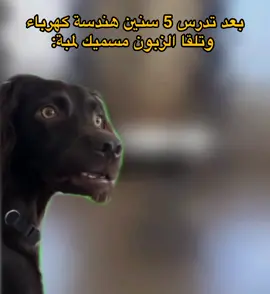 #اكسبلور #تصميم_فيديوهات🎶🎤🎬 #الشعب_الصيني_ماله_حل😂😂 #الخليل #فوريو_العرب 