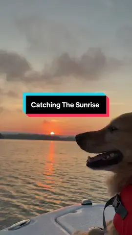 After Teddy’s health scare, I promised myself we’d make more mornings like this happen. Last time we missed the sunrise, but today we finally caught i, and it was perfect. We’re making memories that will last forever. 