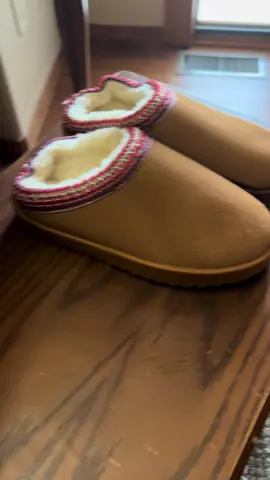 House slipper 