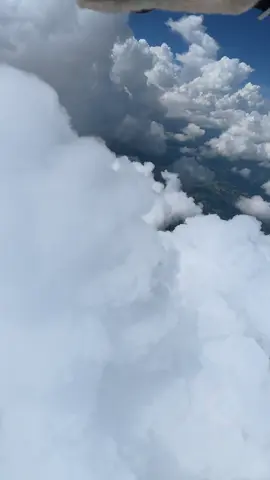 Which way’s up? 