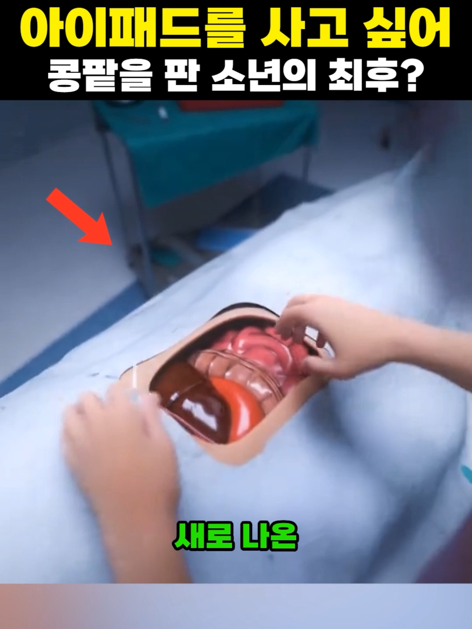 아이패드를 사고 싶어 이렇게까지 했다고? #유머