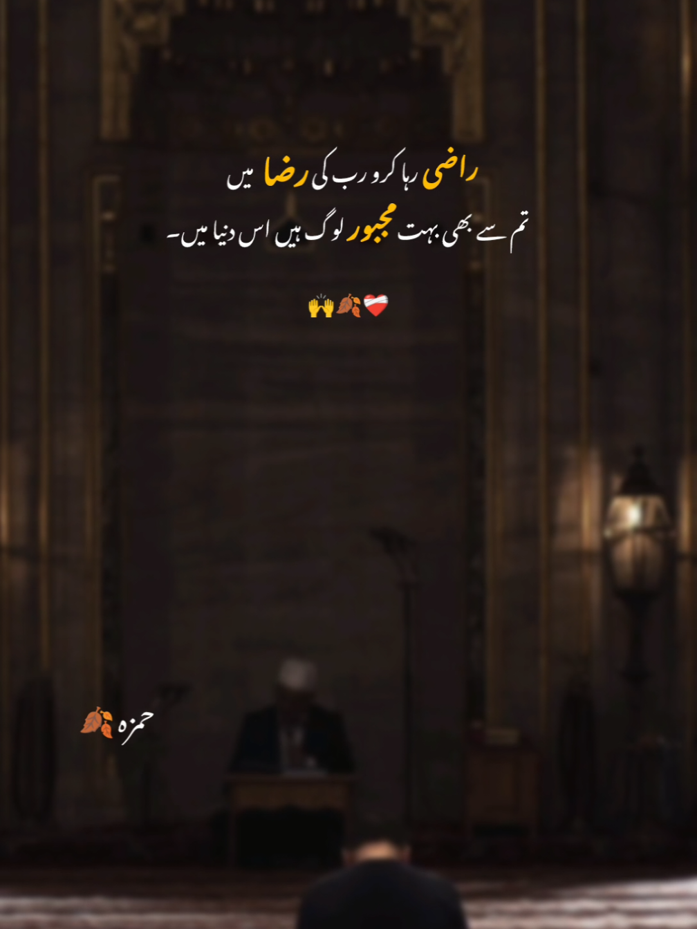 Hnjii Bilkl 🙌💯 |#dontunderreviewmyvideo #unfreezemyacount #foryouu #foryoupagе #hamza__9097 