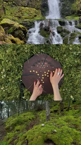 #somaterra #synthesizer #nature  @SOMA Laboratory 