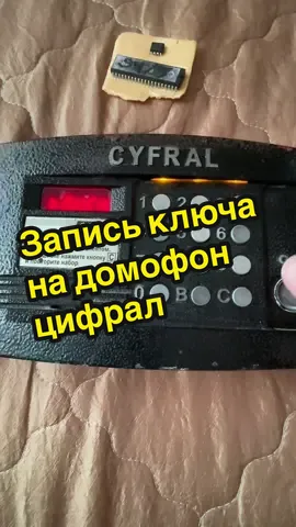 Запись ключа на домофон цифрал #latersvalOfficial #рекомендации #Beward