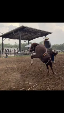Didn’t cover but got a fun one last night #ranchbronc 