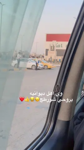 كم واحد من ديوانيه موجود😂👇🏻💕#ديوانيه_المثنئ_بابل_واسط #ديوانيه_🇮🇶 #typ #مالي_خلق_احط_هاشتاقات 