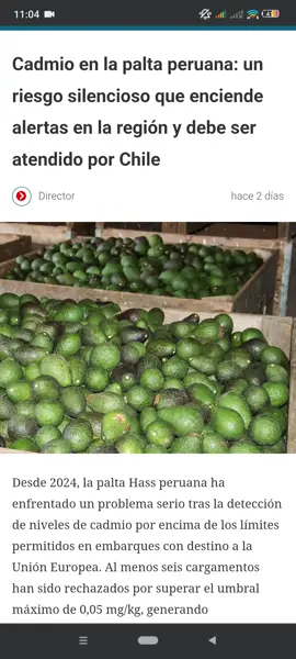 Por qué no comer palta peruana🚫 #chile #mundo #palta #cuidatusalud #alerta 