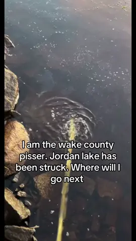 #wakecounty #fyp #wakecountypisser #dexter 