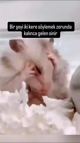 #🤣🤣🤣 