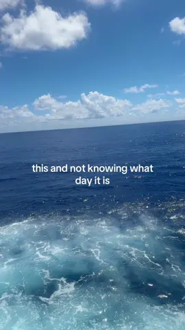leave me here. forever  #cruise #vacation #cruisetok #cruiselife 