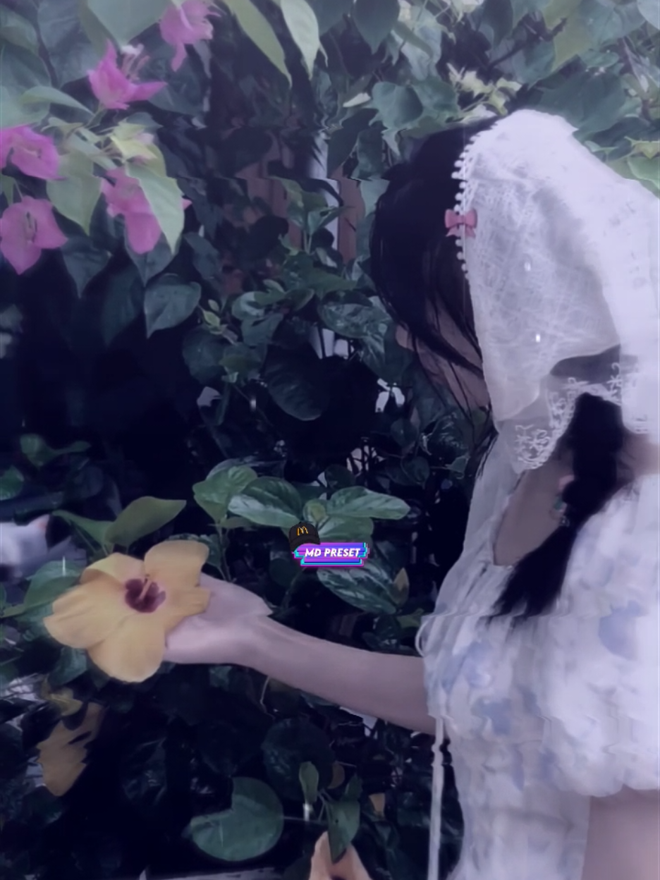 sumpah cinta matiku🥀 [ᴀᴍ ᴘʀᴇᴍ 1 ᴛᴀʜᴜɴ ᴄᴇᴋ ʙɪᴏ] #preset #presetalightmotion #presetdibawah5mb #presetxml #fyp 