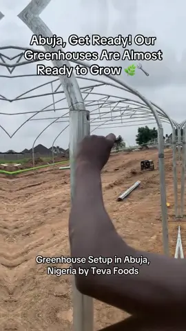 We’re setting up something big in Abuja! 💥 These greenhouses will soon grow premium produce, right in the city. Follow the journey from bare land to harvest 🌱 #greenhouseinstallation #TevaFoods 