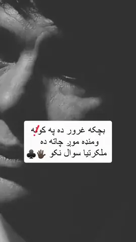 #♣️follow