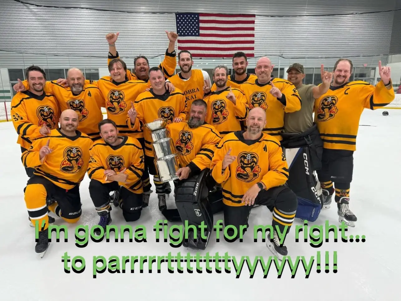 #fyp #beerleague #icehockey #foiledup #chirp Cobra-Kai