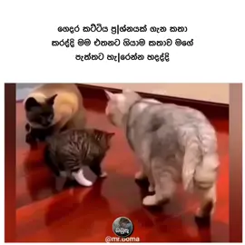 😂😂
