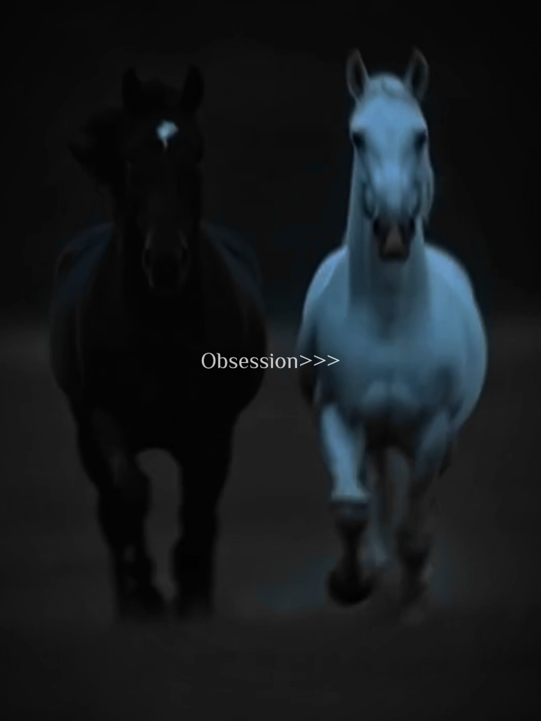 | BLACK And WHITE BEAUTY 🫀| #horsewhisperer_hippophile #obssessed #blackwhitehorse #horseriding #beauty 
