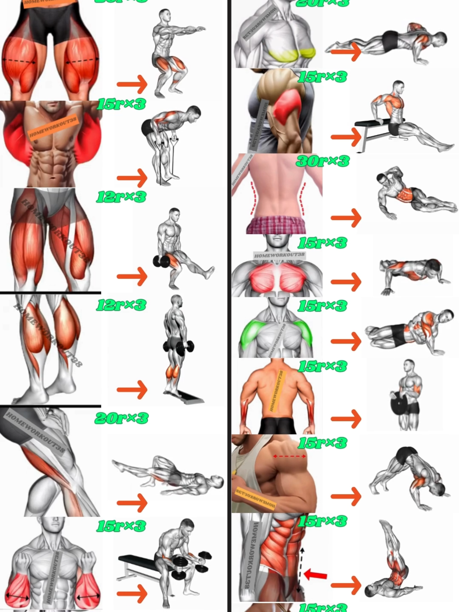 BEST HOME WORKOUT #GymTok #muscle #exercise #Fitness #workout #workoutroutine #workouttips #fit #fitnesstips #motivation #workoutmotivaton #homeworkout