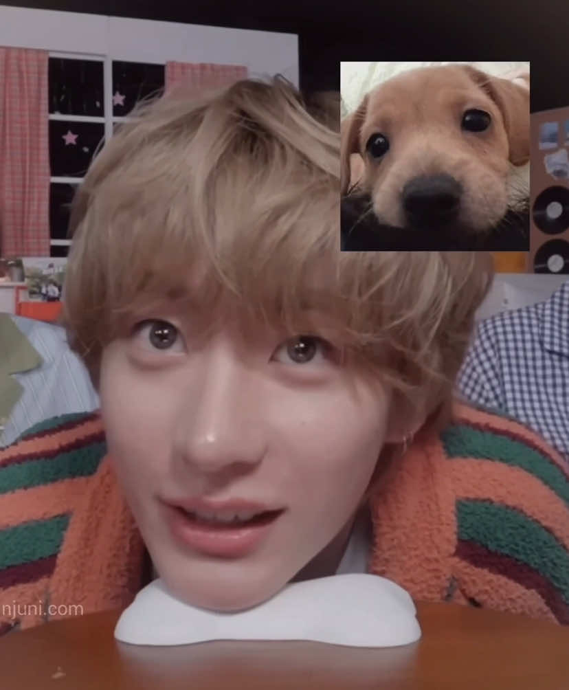 most soft spoken puppy of the century                                                                            (i live for his soft voice) #riize #anton #riizeedit #fyp #viral [ rm: @know!! ]