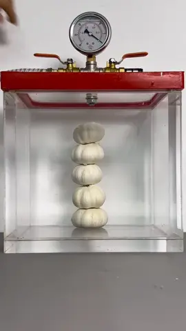 What happens when garlic is placed in a vacuum? #VacuumExperiment #OriginalVideo #Garlic #PopularScience #PhysicsExperiment 