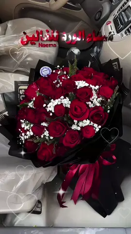 #مساء الورد للغالين 