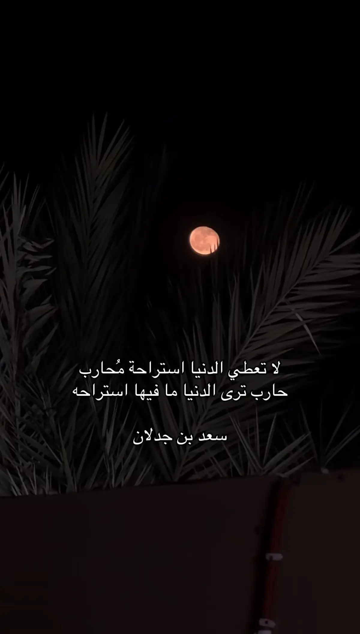 #سعد_ابن_جدلان #الدنيا #اكسبلورexplore #حركة_إكسبلور #viral_video 
