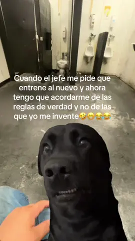 Haciéndome el pendej@ en baño #😁😂 