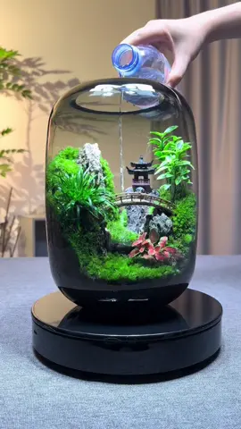 Do you want one?#foryoupage #plants #nature #moss #foryou #aquarium 
