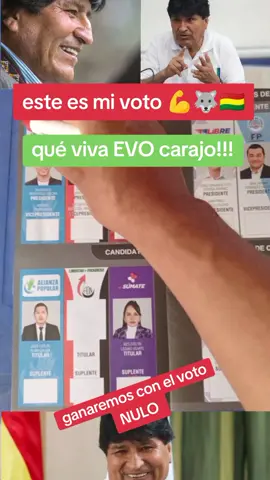 #votonulo#elecciones2025#bolivia🇧🇴#vira#pueblo @FERNANDIÑO QUISPE @Rene Quispe Contigo @ANISITO OFICIAL🤠 @Evo Morales Ayma 