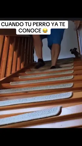 😂😂😂😂