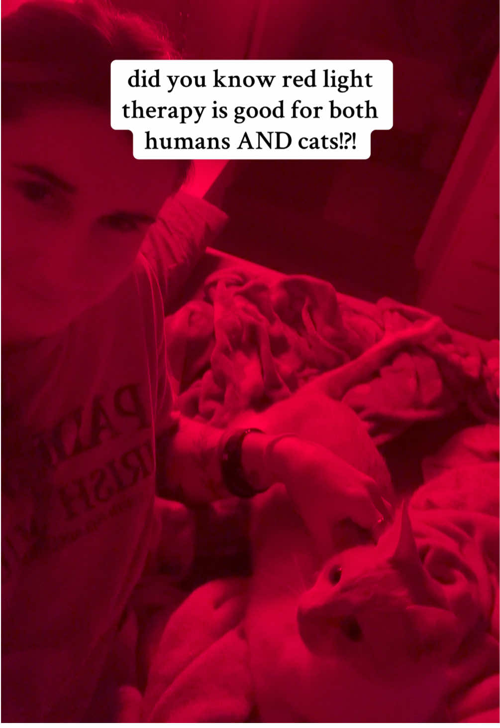 we love our red light time (: #catsoftiktok #catlover #catmom #cat #cattok 
