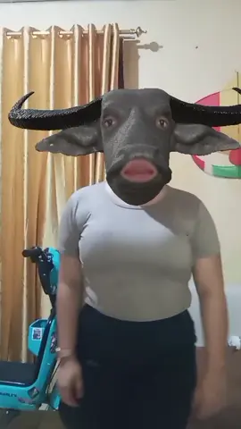 banteng gj😭