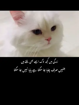 #fyp #sadpoetry #sadpoetry #sadpoetry