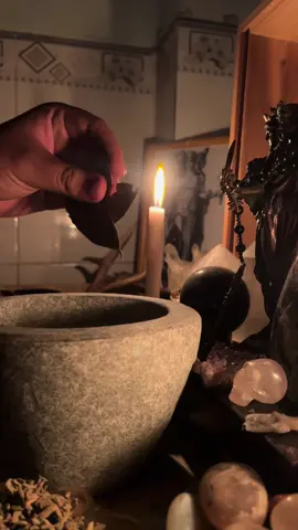 Ancient power and healing herbs 🌿 🔥✨#witch #witchcraft #wicca #witchtok #pagan 