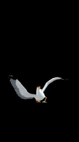 Gmod seagull dancing Dancing seagull Gmod Gmod run seagull game #gmod #gmodseagull #gmodrun #seagulldancing #seagull 