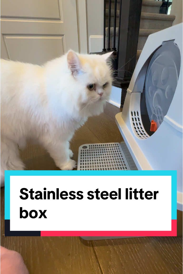 Stainless steel litter box #tiktokshopfinds #pets #accessories #clean @ZVRPET US 