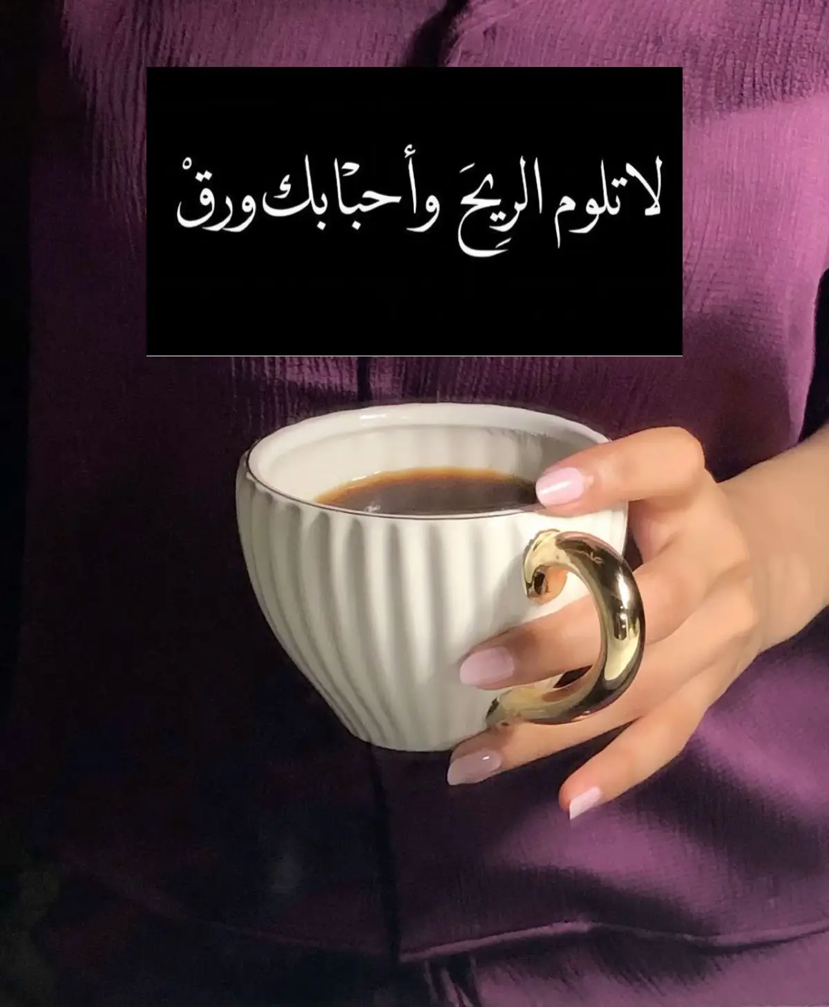 #عبدالمجيد_عبدالله🤍🎶 #✔️✔️✔️✔️✔️✔️💯💯💯💯❤️❤️❤️⚡⚡⚡⚡⚡⚡💖💖💖💖💖💖💖💖💖💖💖💖 #👏🏻👏🏻👏🏻👏🏻👏🏻 