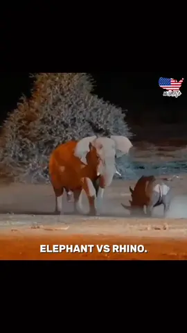 Elephant 💀#millionviews #unfrezzmyaccount #viewsproblem😭 #highrpm  #CapCut 