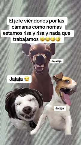solo un ratito jefe estamos sacando el estrés 🤣🤣#CapCut #fypシ゚viralmyvideotiktok #risas #jefe#foryoupagee 