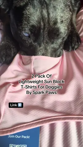 Wisconsin HasHad 0 Sun, tons  or rain, & thunderstorms. Will show Bailey in them when it’s nice out. She’s a dark dog and I feel like the sun is horrible on her skin and fur. #sunprotection #tiktokshopbacktoschool #tiktokshopcreatorpicks #dogproducts @SPARK PAWS  