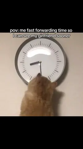 @antoinette #girlfriend #Relationship #cat #foryoupage #memes 