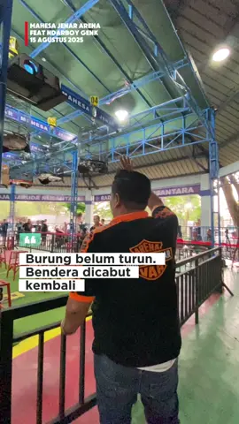 BURUNG BELUM TURUN, BENDERA CABUT LAGI‼️ MAHESA JENAR, SATU-SATUNYA GANTANGAN DI INDONESIA YANG BISA MERUBAH JUARA‼️ — Gimana komentar netizen?  #BERITAKICAU                •         •         •          #muraibatu #muraibatumania #muraiindonesia #muraibatuindonesia                        