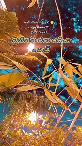 1 වසරේ අපි තවම පොඩී 🤗😇#trendingvideo #fypシ゚viral #1millionviews #foryoupage #srilankan_tik_tok🇱🇰 