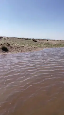 #سهيل#فايز العتيبي 