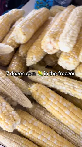 This little tool made it so easy! #corn #chickencornsoup #farmlife #homestead #2025 