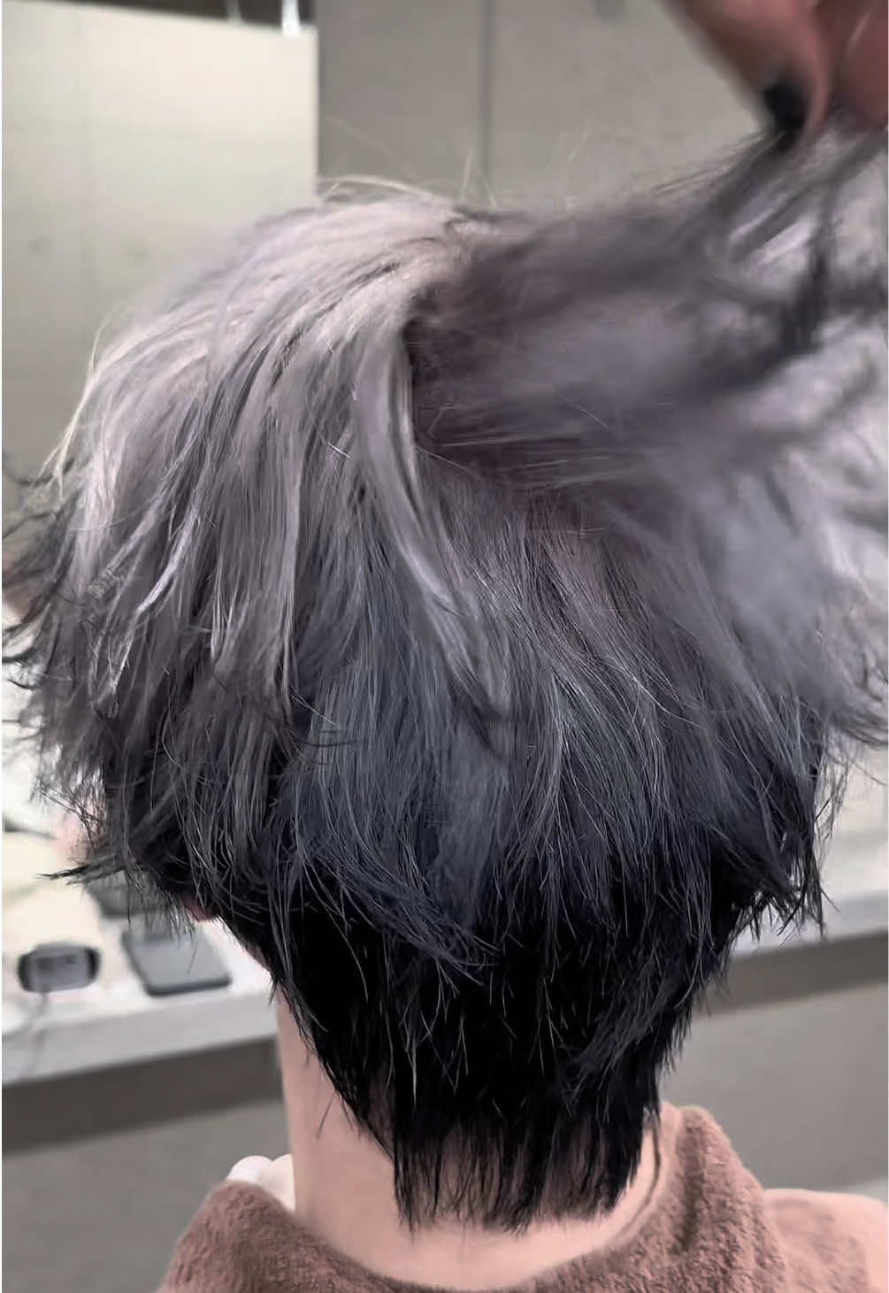 white×black エンドカラー #エンドカラー#ウルフ#ホワイトカラー#ウルフカット 
