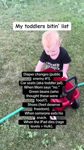 #bitinlist #bitinglist #toddlersoftiktok 