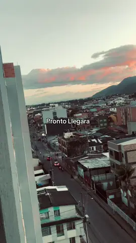 Y A Todo El Mundo Yo Le Ayudare🙏🏽#viral#Bombom